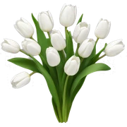 white tulips sticker