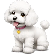 bichon sticker