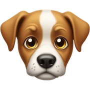 Dog giving side eye sticker