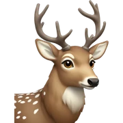 Winter deer sticker