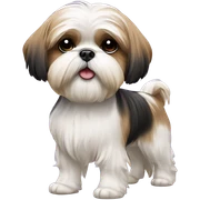 Shih tzu walking person sticker
