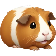 Guinea pig sticker