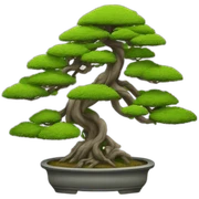 bonsai tree intertwined with torii gate sticker