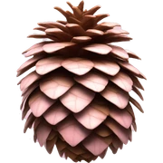 pale pink pinecone  sticker