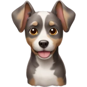 Perro pudlle  sticker