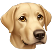Labrador sticker