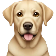 Labrador  sticker