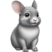 Chinchilla  sticker