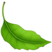leaf sticker