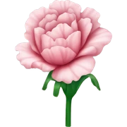 carnation sticker