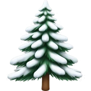  actual white fir christmas tree isolated.  sticker