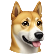 DOGE sticker