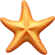 Starfish sticker