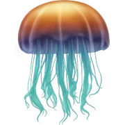 jellyfish sticker