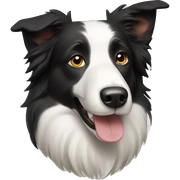 Border Collie sticker