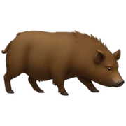 boar and bear sticker