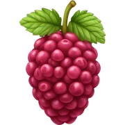 raspberry  sticker