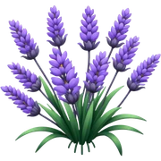 Lavender purple sticker