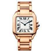 Cartier watch  sticker