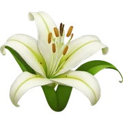 Lily flower sticker