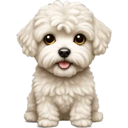 Maltipoo sticker
