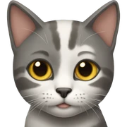 gato sticker
