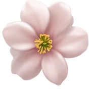 Light pink flower sticker