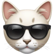 Cat with sunglasses sticker