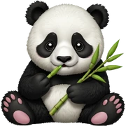 Panda eating bambu sticker