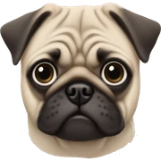 Pug with me sticker