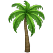 Palm tree sticker