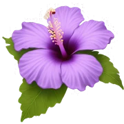 Lilac hibiscus  sticker