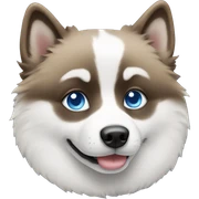 Pomsky with blue eyes sticker