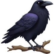 Raven sticker