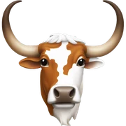 Texas longhorn sticker