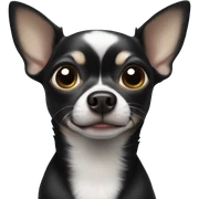 Black chihuahua  sticker