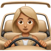 conduite sticker