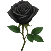 Black rose sticker