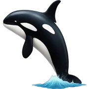 Orca sticker