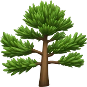 pine sticker