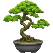 bonzai sticker