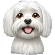 maltese dog sticker