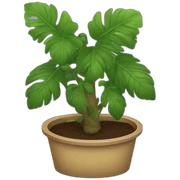 Bear’s plants sticker