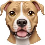 pitbul sticker