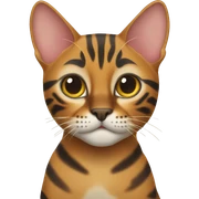 bengal cat sticker