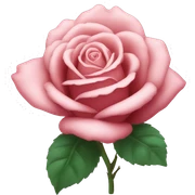 Rose sticker