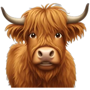 Highland cow sticker