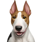Bull terrier  sticker