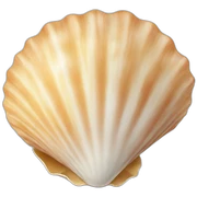 Seashell sticker