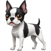 Boston terrier sticker